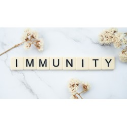 Tisane Immunité