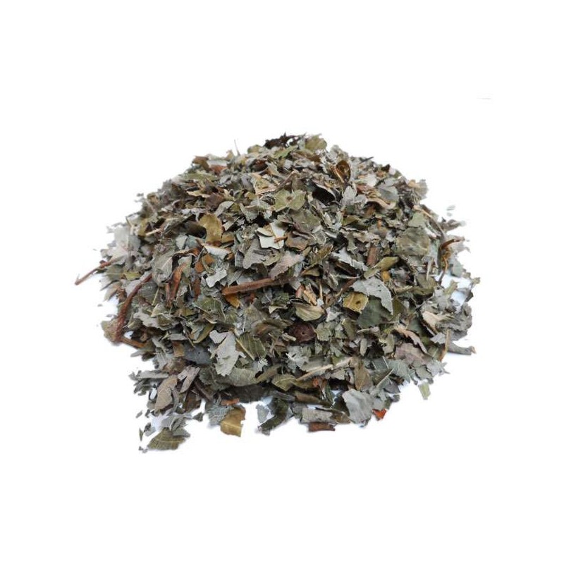 Feuilles de saule blanc pour infusion (Salix Alba)