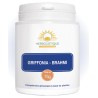 Griffonia (5-HTP) & Brahmi - Complexe anti-stress et bien-être mental
