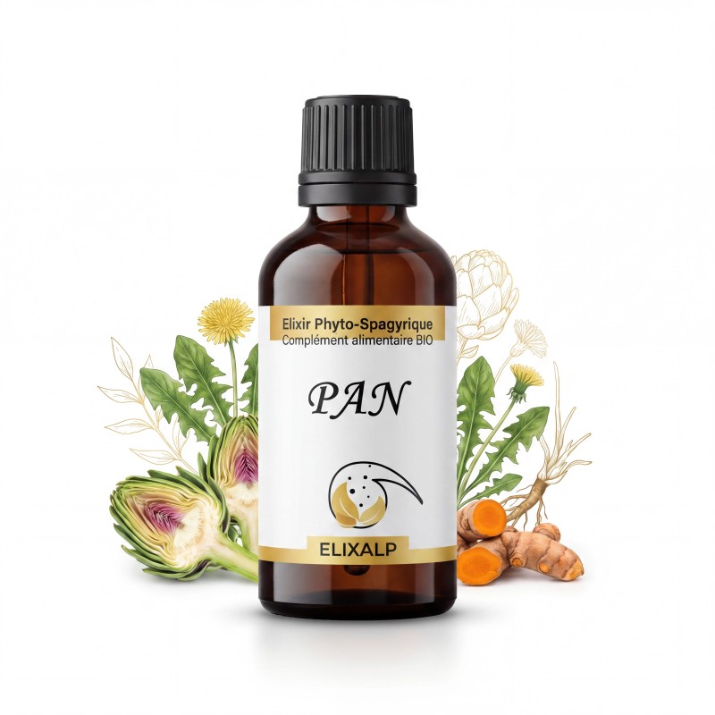 PAN- Pancréas Lymphosource