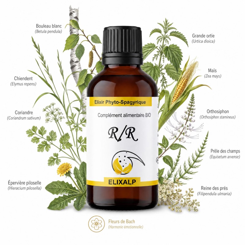 R/R -Reins- Rate Lymphosource